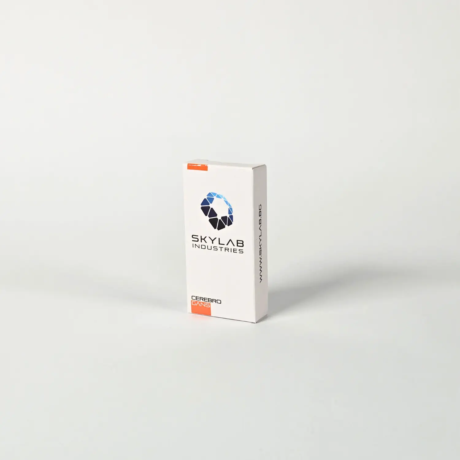 Cerebro GANS - ГАНС