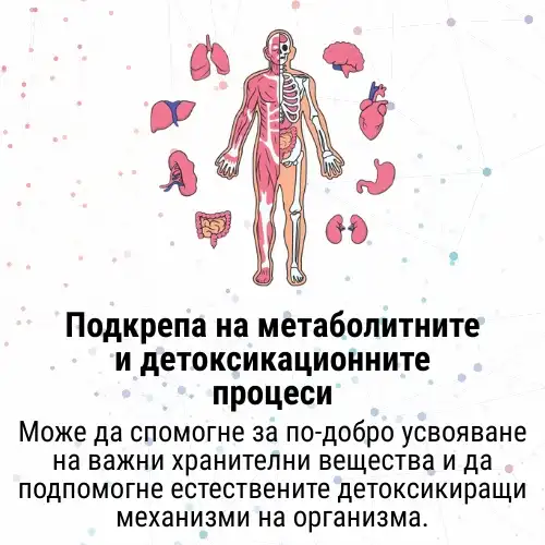 13.webp