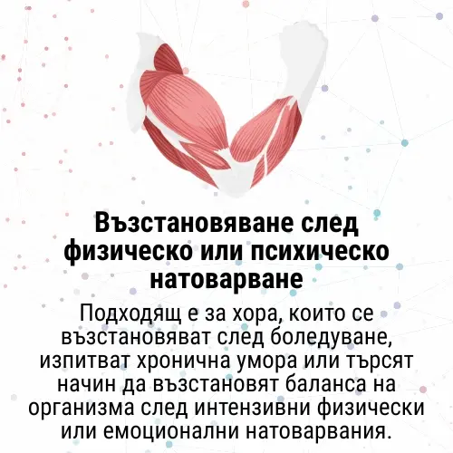 14.webp
