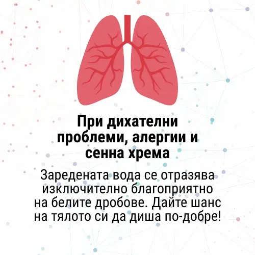 lungs1.webp
